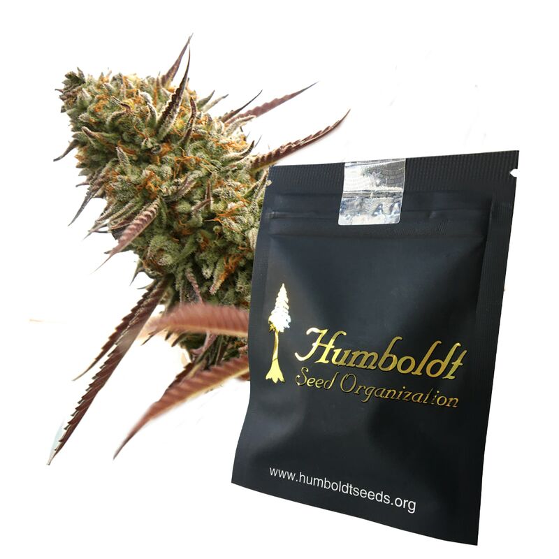 Ghost of NY, Фасовка: 3, изображение 4